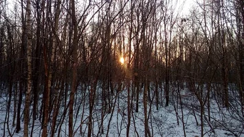 20160103_094522.webp 20160103_094522.webp