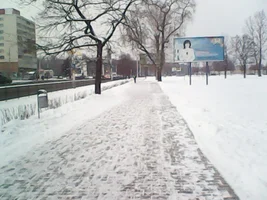 IMG0103A.webp