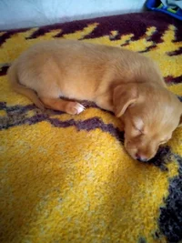 IMG20210812133056.webp IMG20210812133056.webp