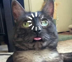 Q-gzx7o4iHg.webp Q-gzx7o4iHg.webp