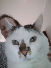 2021-08-05 14-12-12.webp