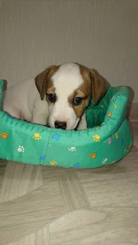 DSC_0284.webp DSC_0284.webp