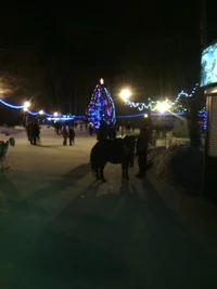 IMG_20160107_174234.webp