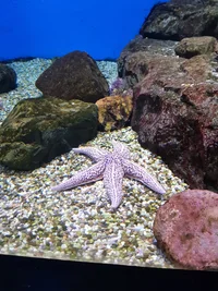 20210911_113555.webp 20210911_113555.webp