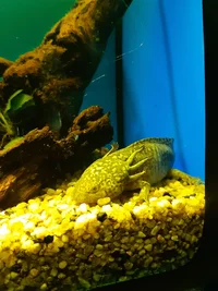 20210911_114603.webp 20210911_114603.webp