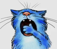 EN2-aj5X4AU8vVG.webp EN2-aj5X4AU8vVG.webp