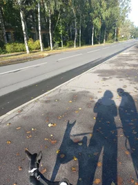 20210918_094207.webp