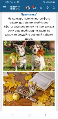 Screenshot_20210920-194012_Samsung Internet.webp