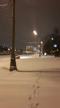 13.01.16 снегопад.webp