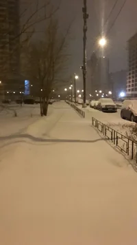 после снегопада утро 13.01.2016.webp