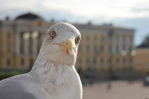 image-58.webp