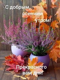 раздевалка.jpg