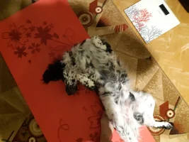 20210206_074416.webp 20210206_074416.webp