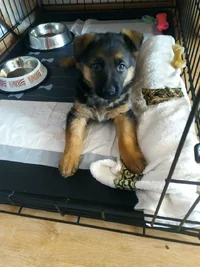 1632924503140.webp 1632924503140.webp