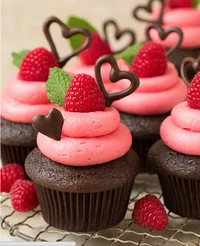 original.webp original.webp