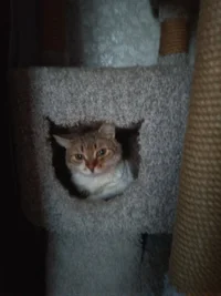 2021-09-12 18-41-43.webp