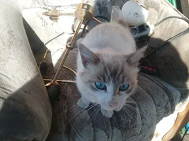 BSdlCjIspcc.jpg BSdlCjIspcc.jpg