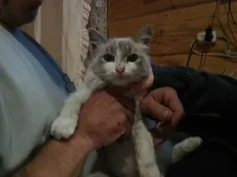 6ZwBpJP_U4c.jpg 6ZwBpJP_U4c.jpg