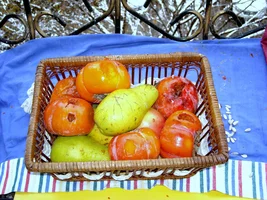 синичкины витаминчики.webp