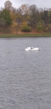 IMG_20211017_150859.webp IMG_20211017_150859.webp