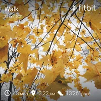 fitbitshare_766469880.webp