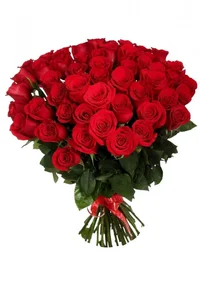 2015-09-08-flora-28 (1).webp