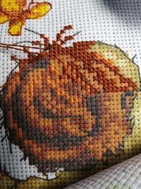 IMG_20211024_222031_copy_1536x2048.webp IMG_20211024_222031_copy_1536x2048.webp