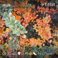 fitbitshare_1279812947.webp