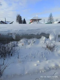 IMG_20211030_130903.webp IMG_20211030_130903.webp