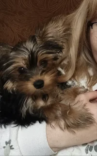 IMG_20211029_190021~01~01.webp IMG_20211029_190021~01~01.webp