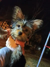 IMG_20211022_194659~01.webp IMG_20211022_194659~01.webp