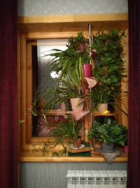 2020-09-19 20-30-48.webp