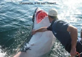 1313612938_smeshnye-kartinki-s-zhivotnymi-i-nadpisyami-14.webp 1313612938_smeshnye-kartinki-s-zhivotnymi-i-nadpisyami-14.webp