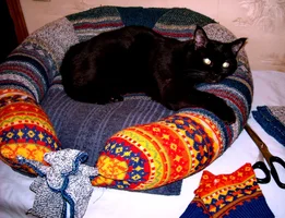 кот  уже прилёг пока ходила за фотиком-.webp