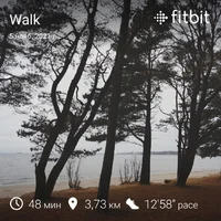 fitbitshare_1875782339.webp