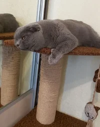 А вот и он.После употребления..webp