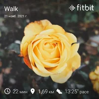 fitbitshare_1108660805.webp
