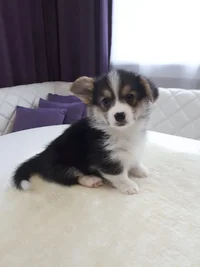 IMG-20211008-WA0000.webp IMG-20211008-WA0000.webp