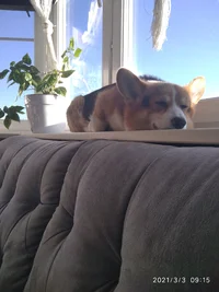 IMG_20210303_091533_1.webp IMG_20210303_091533_1.webp