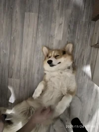 IMG_20211124_214840.jpg IMG_20211124_214840.jpg