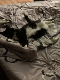 2D8E389C-A44E-4815-A874-D08DD26E195A.webp 2D8E389C-A44E-4815-A874-D08DD26E195A.webp