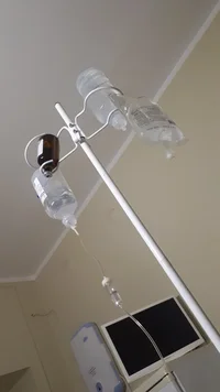 IMG-20211201-WA0026.webp IMG-20211201-WA0026.webp