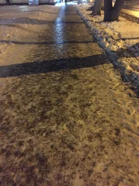 EDF236F7-875F-4BB7-9722-793C1579C6FF.webp EDF236F7-875F-4BB7-9722-793C1579C6FF.webp