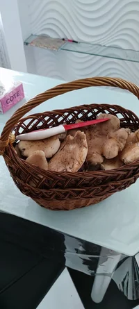 IMG_20211205_141755.webp IMG_20211205_141755.webp