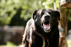 IMG-20211201-WA0046.jpg IMG-20211201-WA0046.jpg