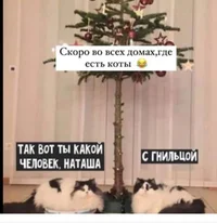 IMG_20211206_064145.webp IMG_20211206_064145.webp