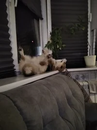 IMG_20200924_200242.webp IMG_20200924_200242.webp