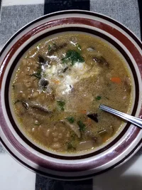 1639487212862.webp 1639487212862.webp