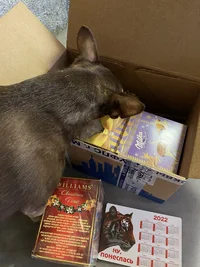 DBE5AE8E-775C-4012-BF21-0D2B14279934.webp DBE5AE8E-775C-4012-BF21-0D2B14279934.webp