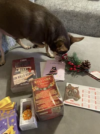 C6504675-2E56-422C-924E-768BB915932E.webp C6504675-2E56-422C-924E-768BB915932E.webp